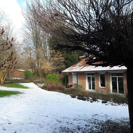 Uccle Un Grand Jardin En Ville. Chez Guy المظهر الخارجي الصورة