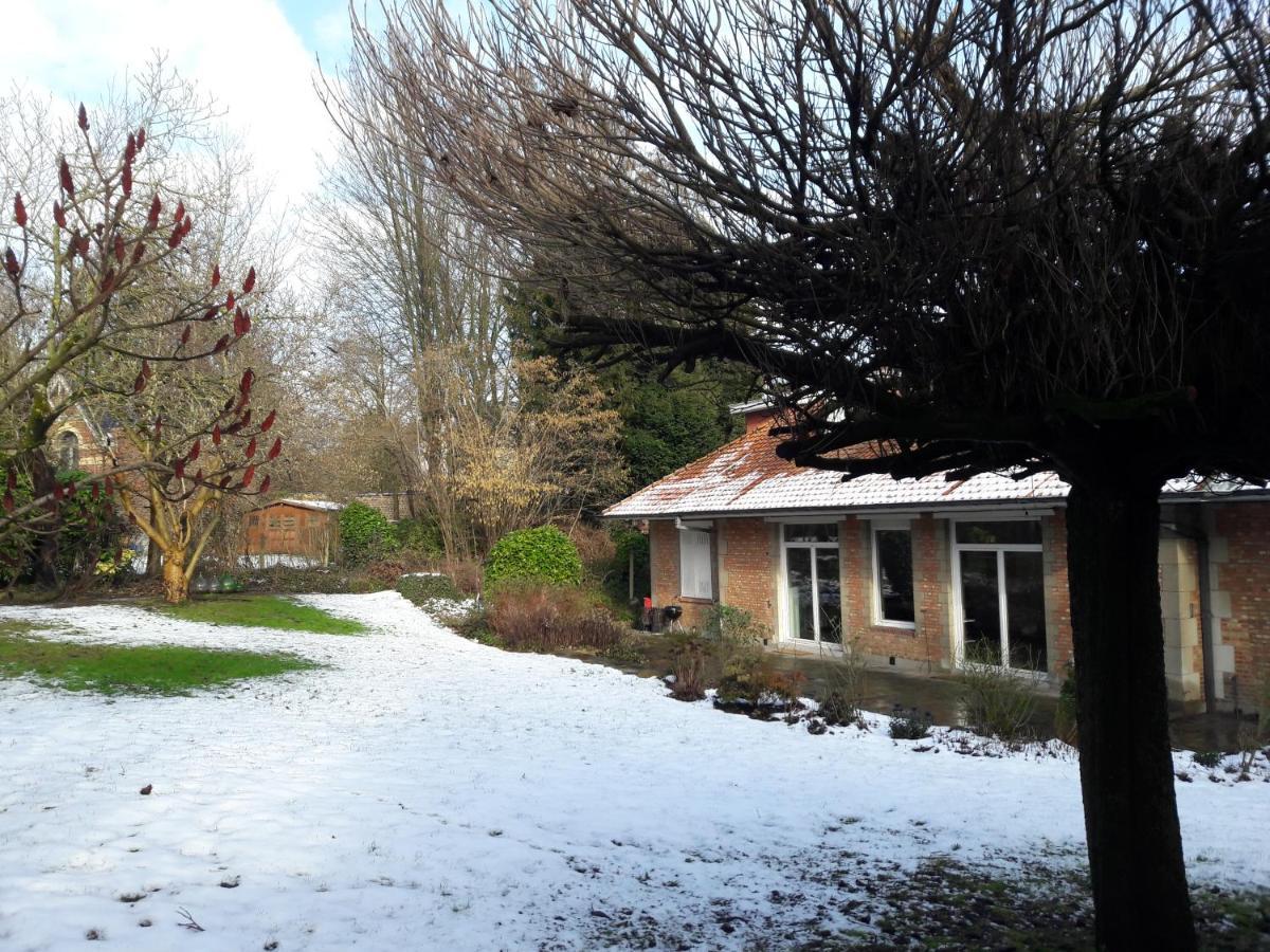 Uccle Un Grand Jardin En Ville. Chez Guy المظهر الخارجي الصورة